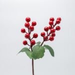 ΠΙΚΑΚΙ ΜΕ ΚΟΚΚΙΝΑ BERRIES ΚΑΙ ΠΡΑΣΙΝΑ ΦΥΛΛΑ, 30cm (600-47617)