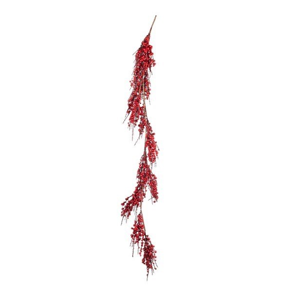 e8e29fb929dd493ba1e61e192479e1bc ΚΛΑΔΑ ΑΠΌ ΜΙΚΡΑ BERRIES ΚΑΙ ΞΕΡΟΚΛΑΔΑ, 120cm (600-49036) - Image 1