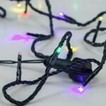 ΣΕΙΡΑ, 480 LED 3mm, 31V ΜΕΤΑΣΧΗΜΑΤΙΣΤΗ, 8 ΠΡΟΓΡΑΜΜΑΤΑ, ΠΡΑΣΙΝΟ PVC ΚΑΛΩΔΙΟ, ΧΡΩΜΑΤΙΣΤΟ LED ΑΝΑ 5cm, ΠΡΟΕΚΤΑΣΗ ΠΑΡΟΧΗΣ 3m, ΙΡ44 (601-11602)