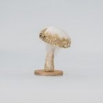 ΜΑΝΙΤΑΡΙ ΛΕΥΚΟ ΒΕΛΟΥΔΙΝΟ 7x13cm (600-45580)