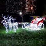 XMAS ΕΠΑΓΓΕΛΜΑΤΙΚΟ ΣΧΕΔΙΟ ΕΛΚΗΘΡΟ ΜΕ ΤΑΡΑΝΔΟΥΣ 3D ΛΕΥΚΗ LED ΦΩΤΟΣΩΛΗΝΑ ΜΕ ΛΕΥΚΑ & ΚΟΚΚΙΝΑ LED 500x190 IP65 (600-23069)
