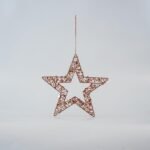 ΑΣΤΕΡΙ ΣΑΜΠΑΝΙ ΑΠΌ ΝΗΜΑ ΜΕ ΠΑΓΙΕΤΕΣ 25cm (600-45635)