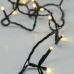 XMAS ΛΑΜΠΑΚΙ ΣΕΙΡΑ 20 LED 5mm ΜΠΑΤΑΡΙΑΣ 3AA ΜΕ ΧΡΟΝΟΔΙΑΚΟΠΤΗ ΠΡΑΣΙΝΟ PVC ΚΑΛΩΔΙΟ ΘΕΡΜΟ ΛΕΥΚΟ LED ΑΝΑ 10cm & ΠΑΡΟΧΗ 50cm IP20 (600-05781)