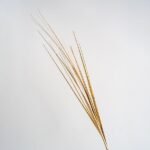 ΚΛΑΔΙ, ΧΡΥΣΟ ΜΕΤΑΛΙΖΕ, 80cm (600-45427)